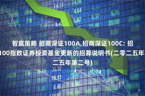 智赢策略 招商深证100A,招商深证100C: 招商深证100指数证券投资基金更新的招募说明书(二零二五年第二号)