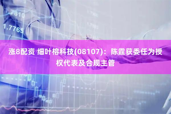涨8配资 细叶榕科技(08107)：陈霆获委任为授权代表及合规主管