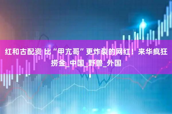 红和古配资 比“甲亢哥”更炸裂的网红！来华疯狂捞金_中国_野兽_外国