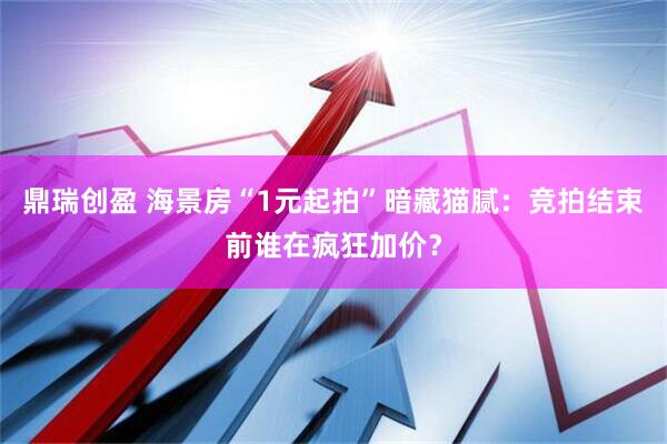 鼎瑞创盈 海景房“1元起拍”暗藏猫腻：竞拍结束前谁在疯狂加价？