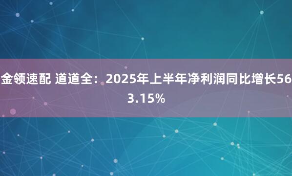 金领速配 道道全：2025年上半年净利润同比增长563.15%