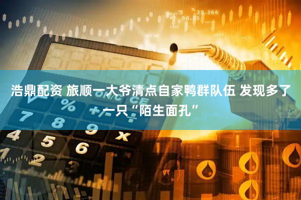 浩鼎配资 旅顺一大爷清点自家鸭群队伍 发现多了一只“陌生面孔”